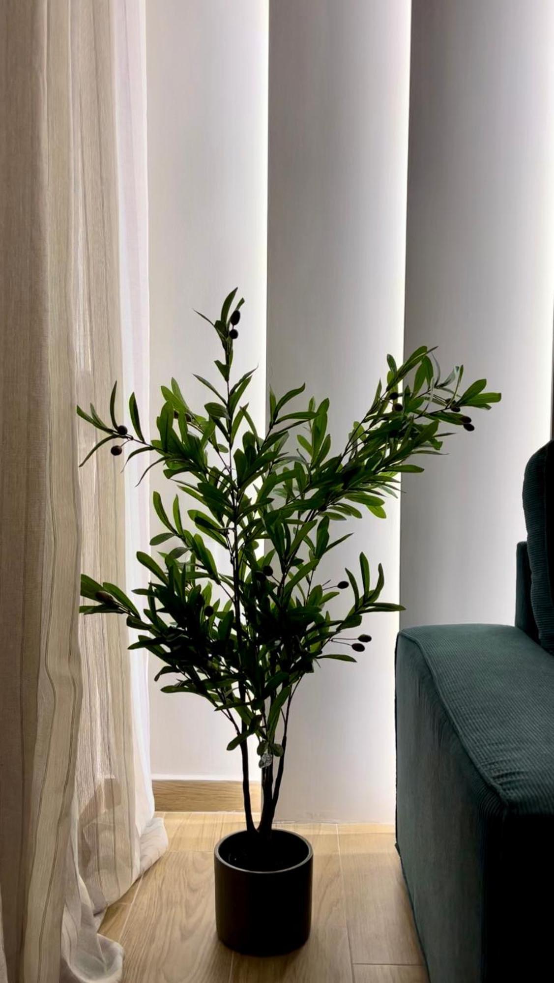 Spáta Emerald Luxury Apartments - Ath Airport מראה חיצוני תמונה